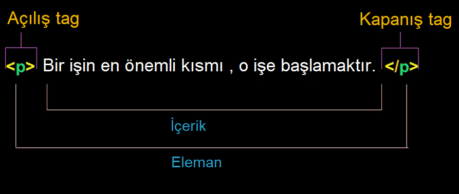 eleman anatomisi