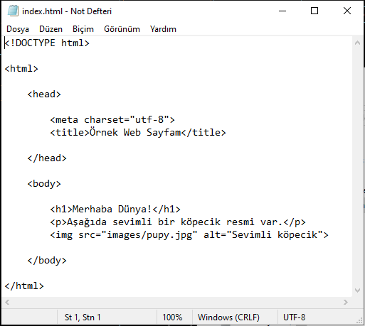 notepad ekranı