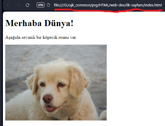 file on browser