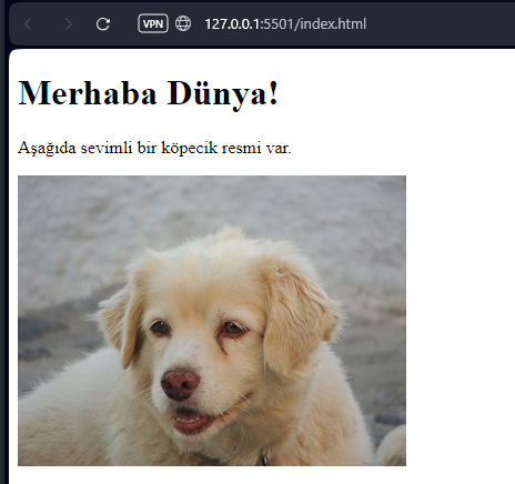 live server index.html