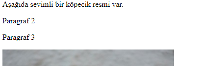 paragraf görünümü