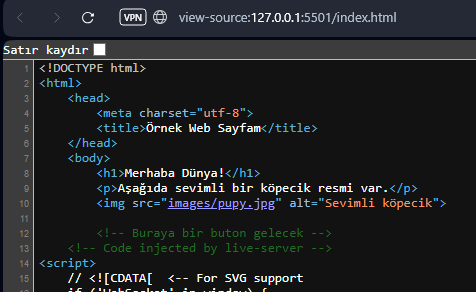 kaynak kodu gösterimi