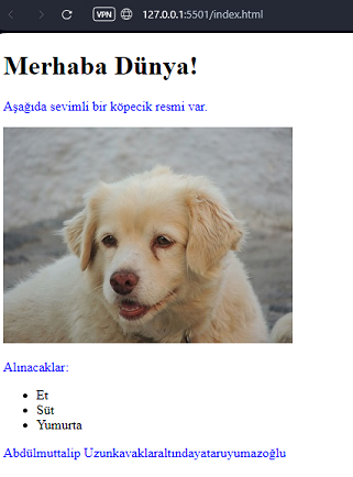mavi paragraflar
